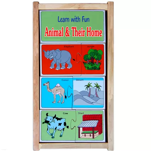 Animal and Their Home